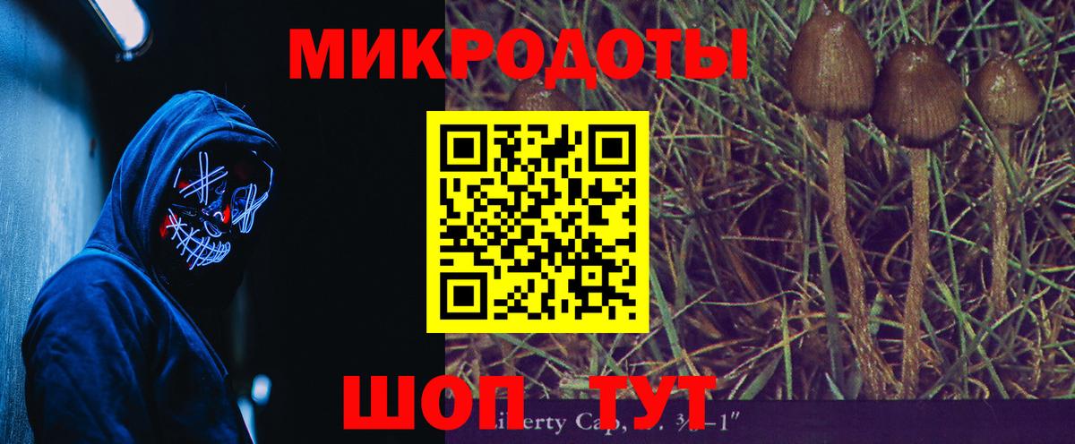 Псилоцибиновые грибы GOLDEN TEACHER  цена   Псилоцибиновые грибы GOLDEN TEACHER  Нефтекамск  Вход с VPN 