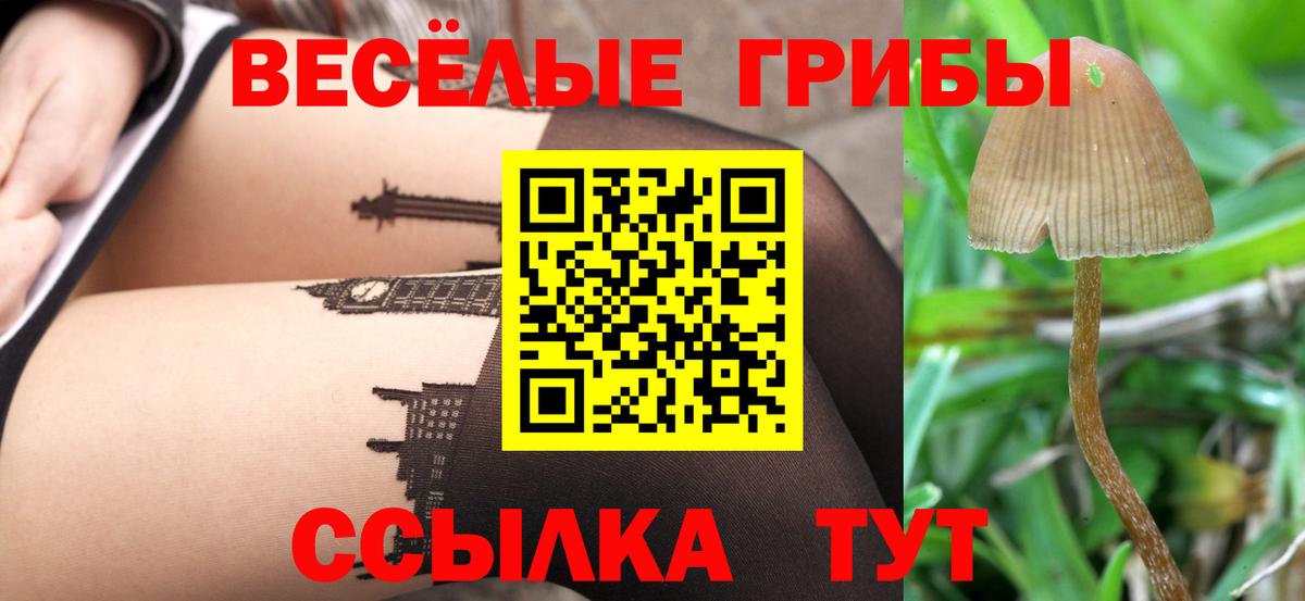 Псилоцибиновые грибы MAGIC MUSHROOMS Нефтекамск